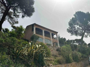 Grand T2 très lumineux en rez de jardin villa